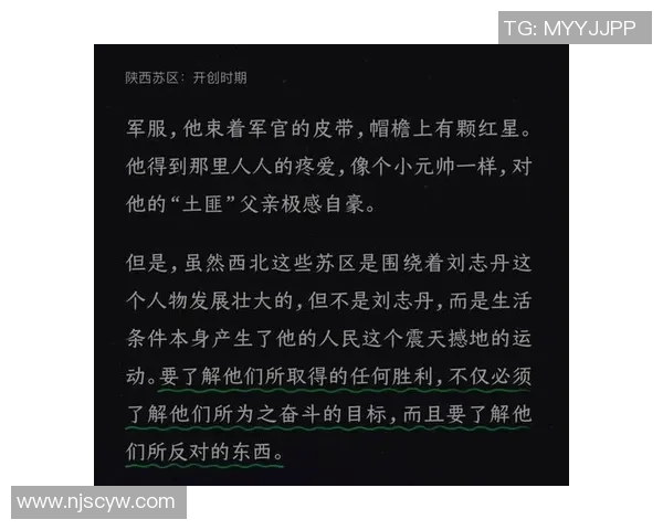 苏伟的成长之路：从普通学生到行业领军人物的奋斗故事